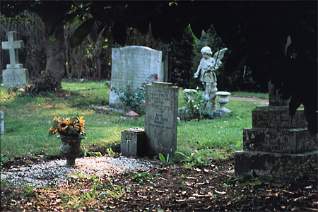 view across churchyard